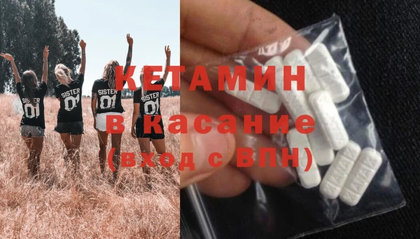 шишки Михайловск