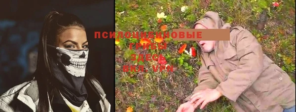 трава Наволоки