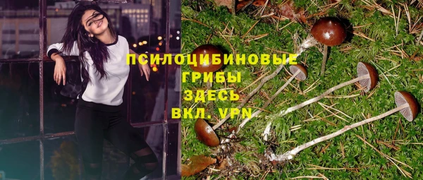 шишки Михайловск