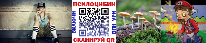 где продают   Майский  Галлюциногенные грибы Psilocybe 